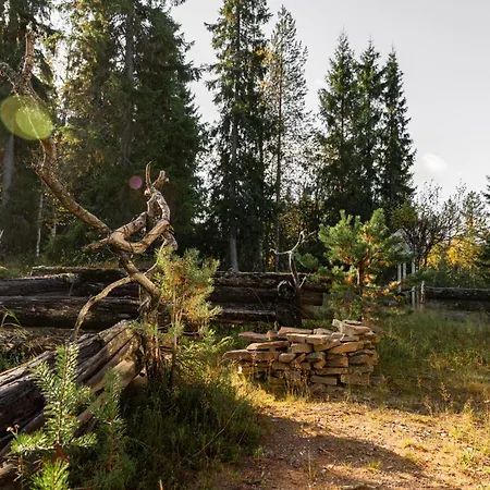 Talvikolo - Spacious 2br With Sauna Ruka