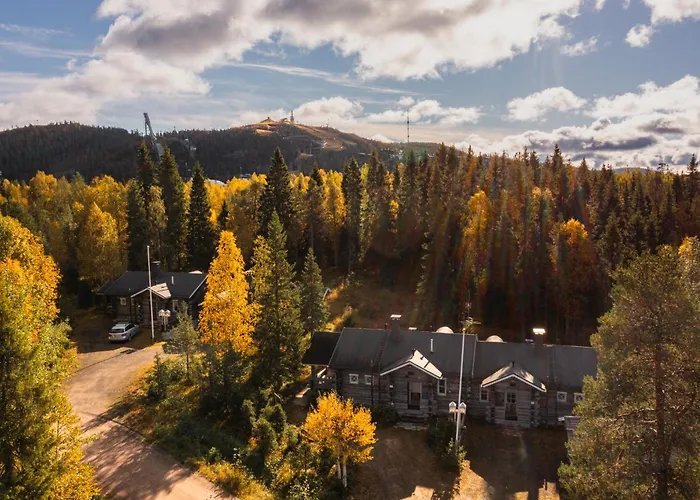 Villa Talvikolo - Spacious 2Br Cabin With Sauna